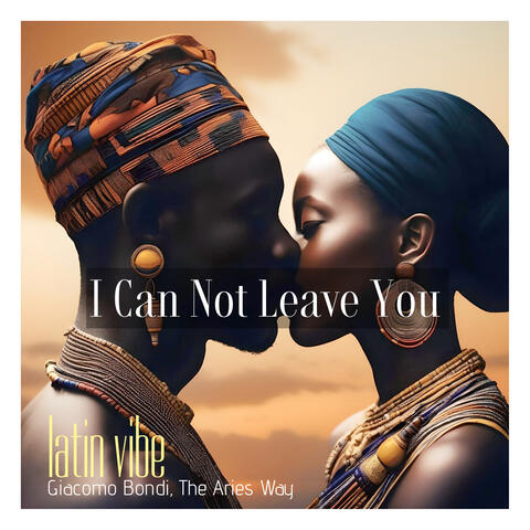 I Can Not Leave You album art