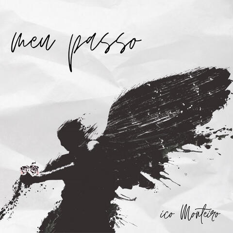 Meu Passo album art