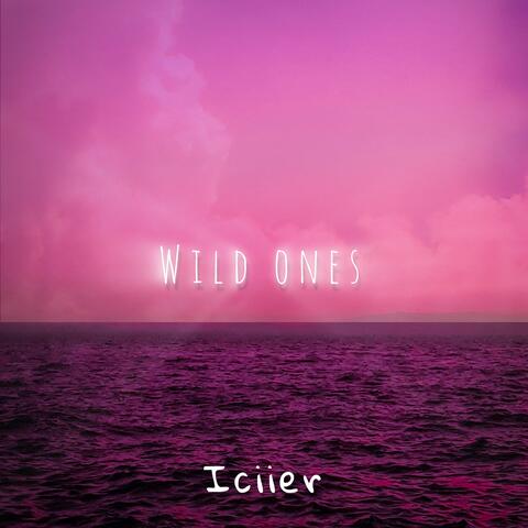 Wild Ones album art