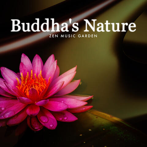 Buddha's Nature album art