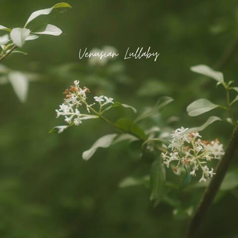 Venusian Lullaby album art