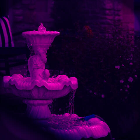Sanctuary album art