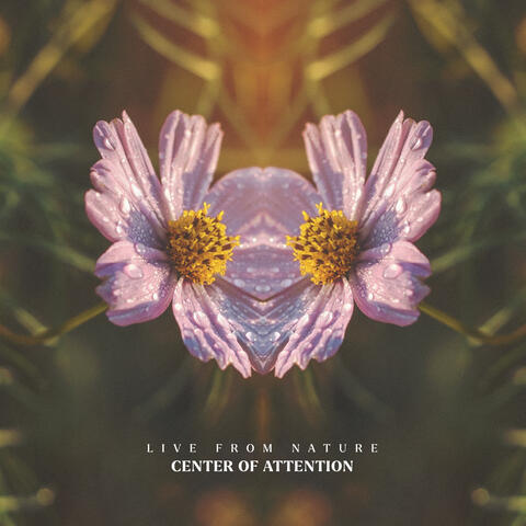 Live from Nature album art