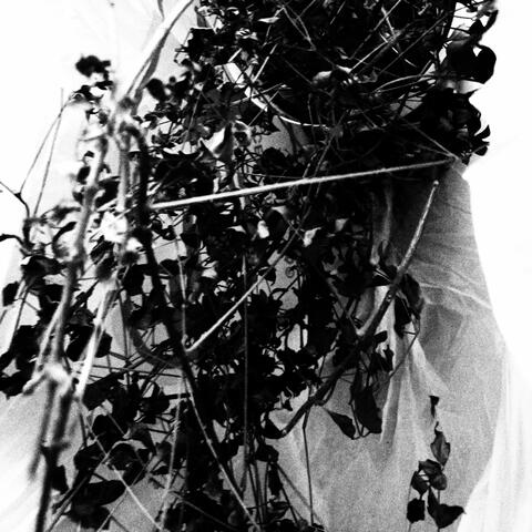 7 of Clubs album art