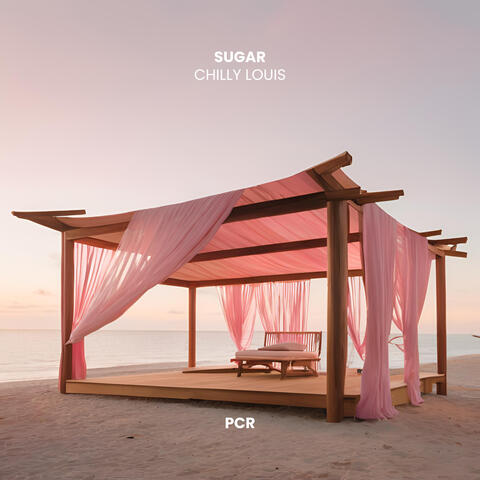 Sugar album art