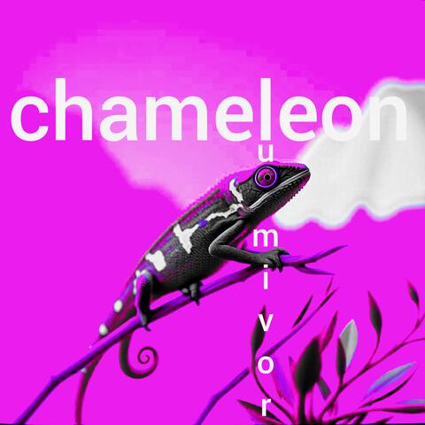 chameleon album art