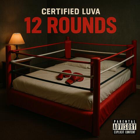 12 Rounds album art