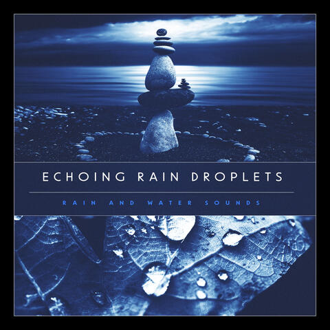 Echoing Rain Droplets album art