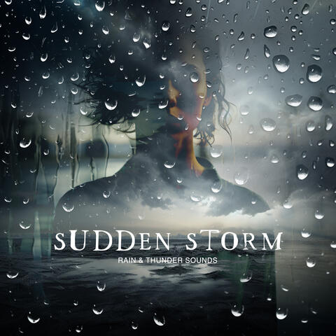Sudden Storm album art