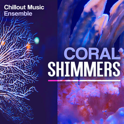 Coral Shimmers album art