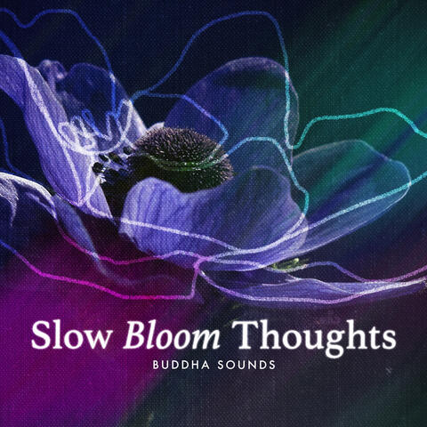 Slow Bloom Thoughts album art