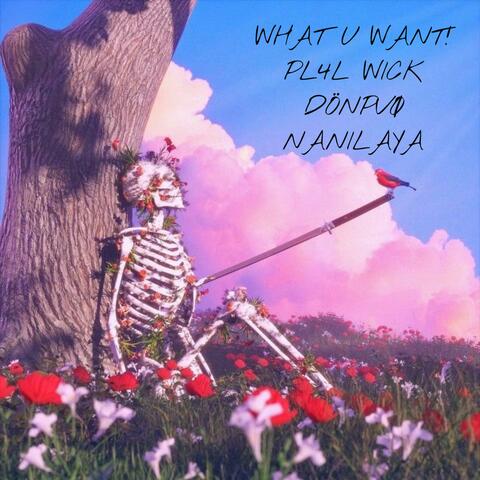 WHAT U WANT! album art