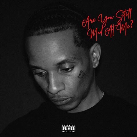 ARE YOU STILL MAD AT ME? album art