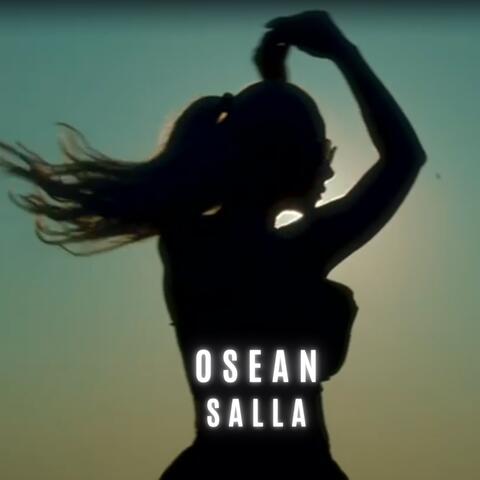 Salla album art