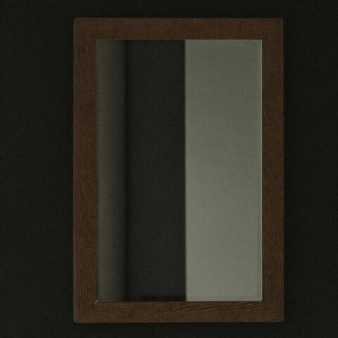 Gaze in to the mirror album art