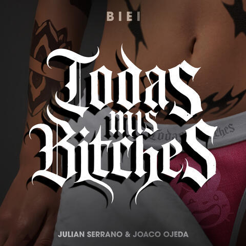 Todas Mis Bitches album art