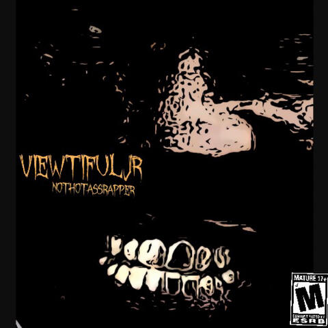 #nothotassrapper album art