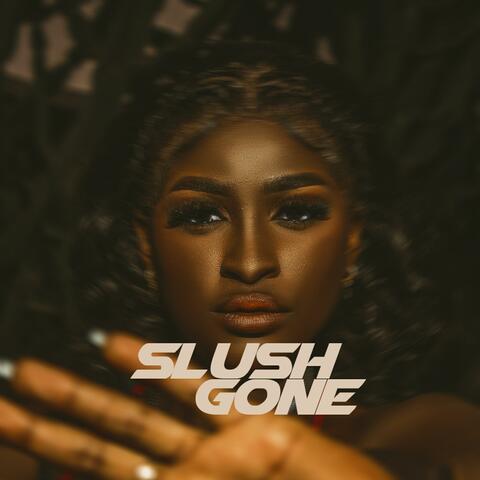 SLUSH (GONE) album art