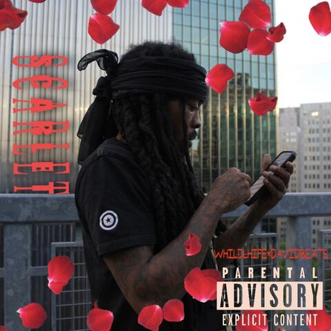 Scarlet album art