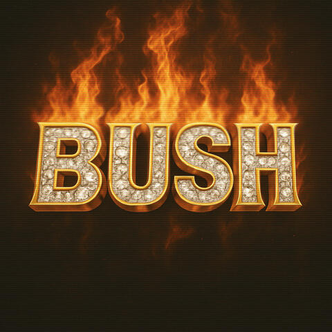 Storyteller Bush album art