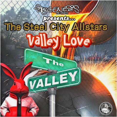 Valley Love album art