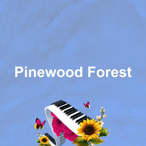 Pinewood Forest album art