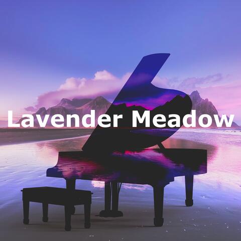 Lavender Meadow album art