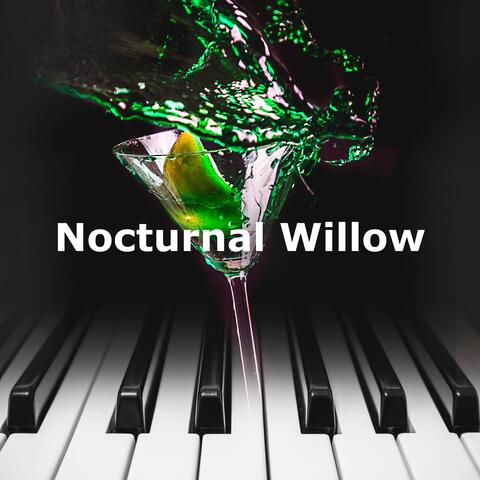 Nocturnal Willow album art