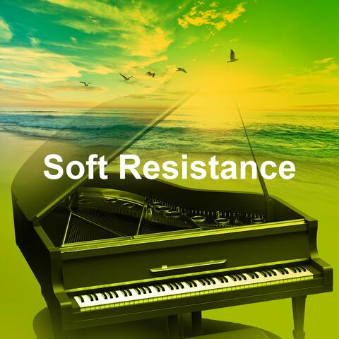 Soft Resistance album art