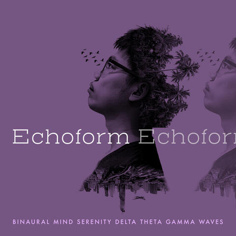 Echoform album art