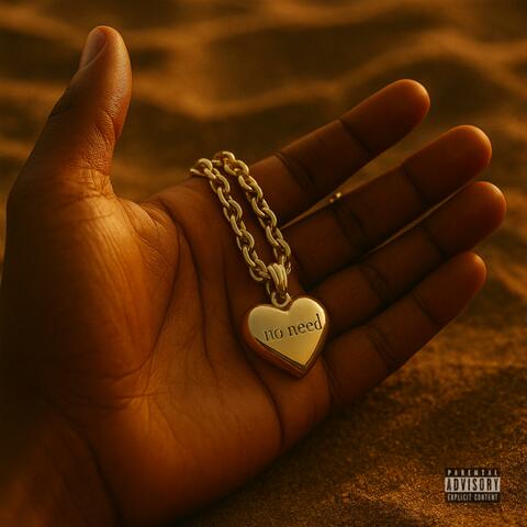 No Need album art