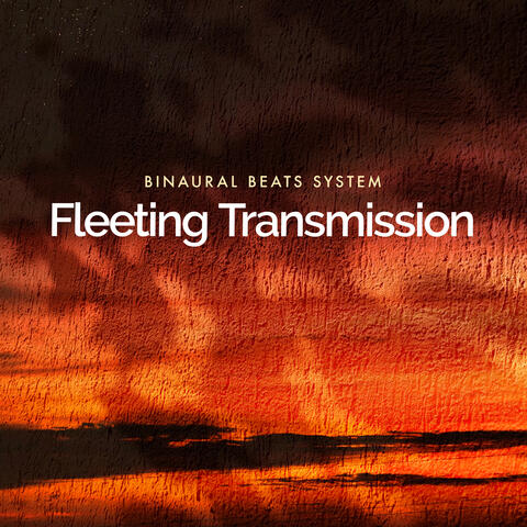 Fleeting Transmission album art