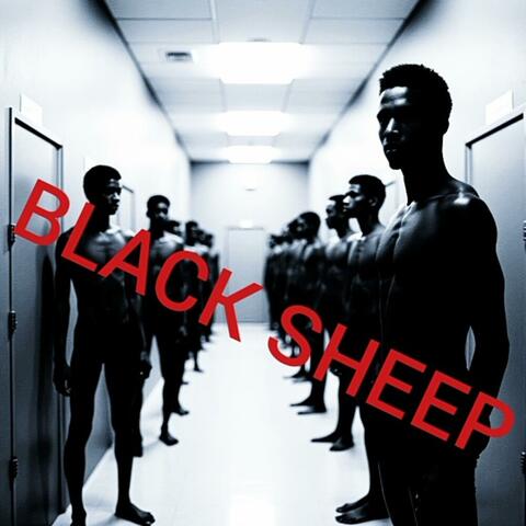 BLACK SHEEP album art