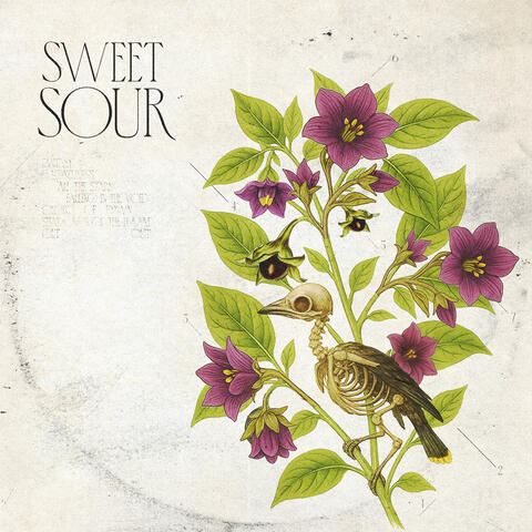Sweet Sour album art