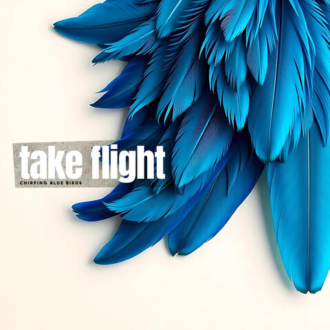 Take Flight album art