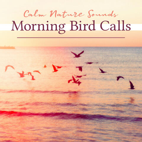 Morning Bird Calls album art
