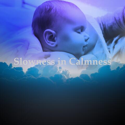 Slowness in Calmness album art