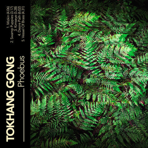 Phoebus album art
