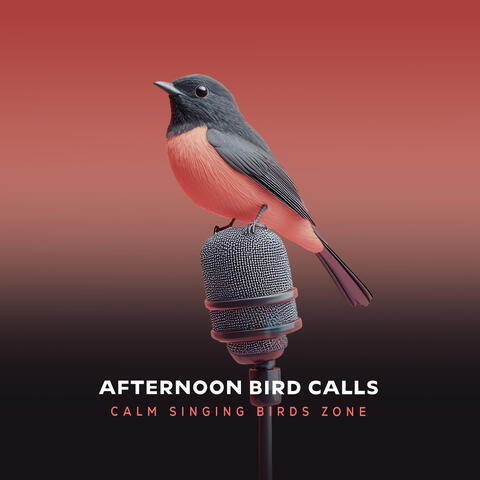 Afternoon Bird Calls album art