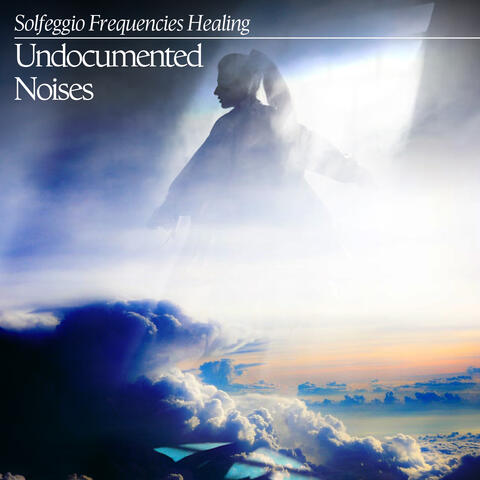 Undocumented Noises album art