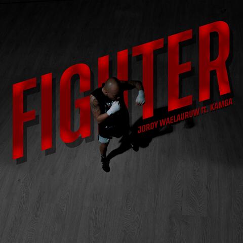 Fighter album art