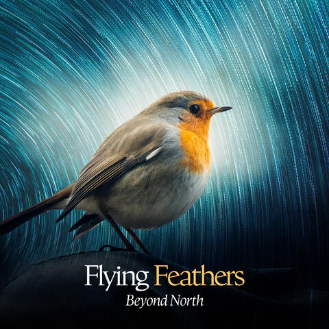 Flying Feathers album art