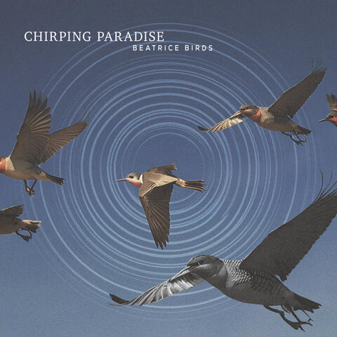 Chirping Paradise album art