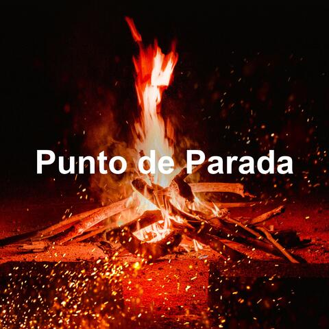 Punto de Parada album art