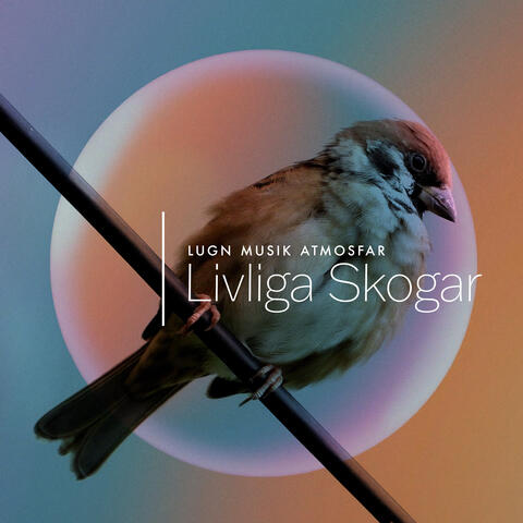 Livliga Skogar album art