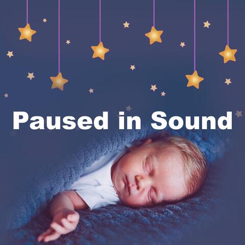 Paused in Sound album art