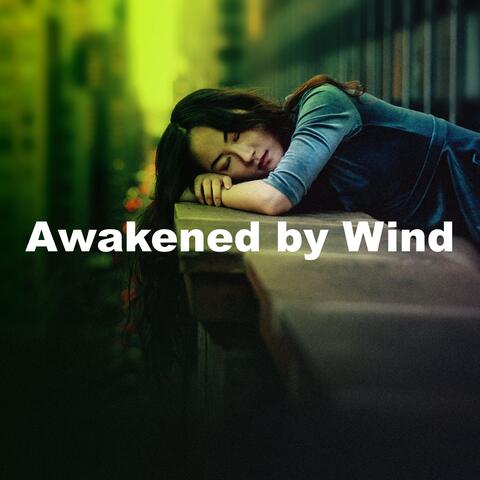 Awakened by Wind album art