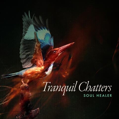 Tranquil Chatters album art
