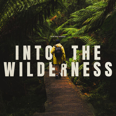 Into the Wilderness album art