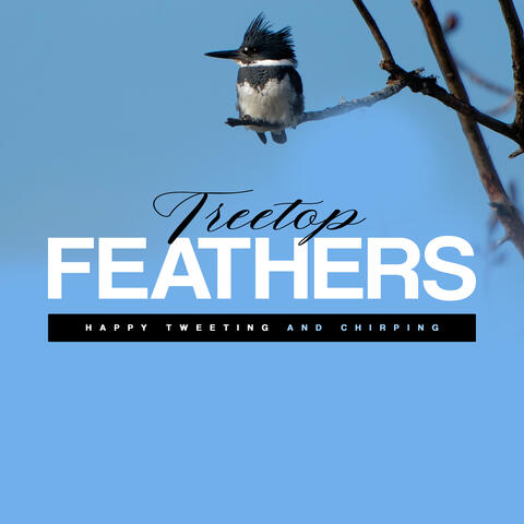 Treetop Feathers album art